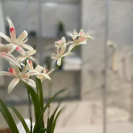 Apartamento Happy Family Cathedral *